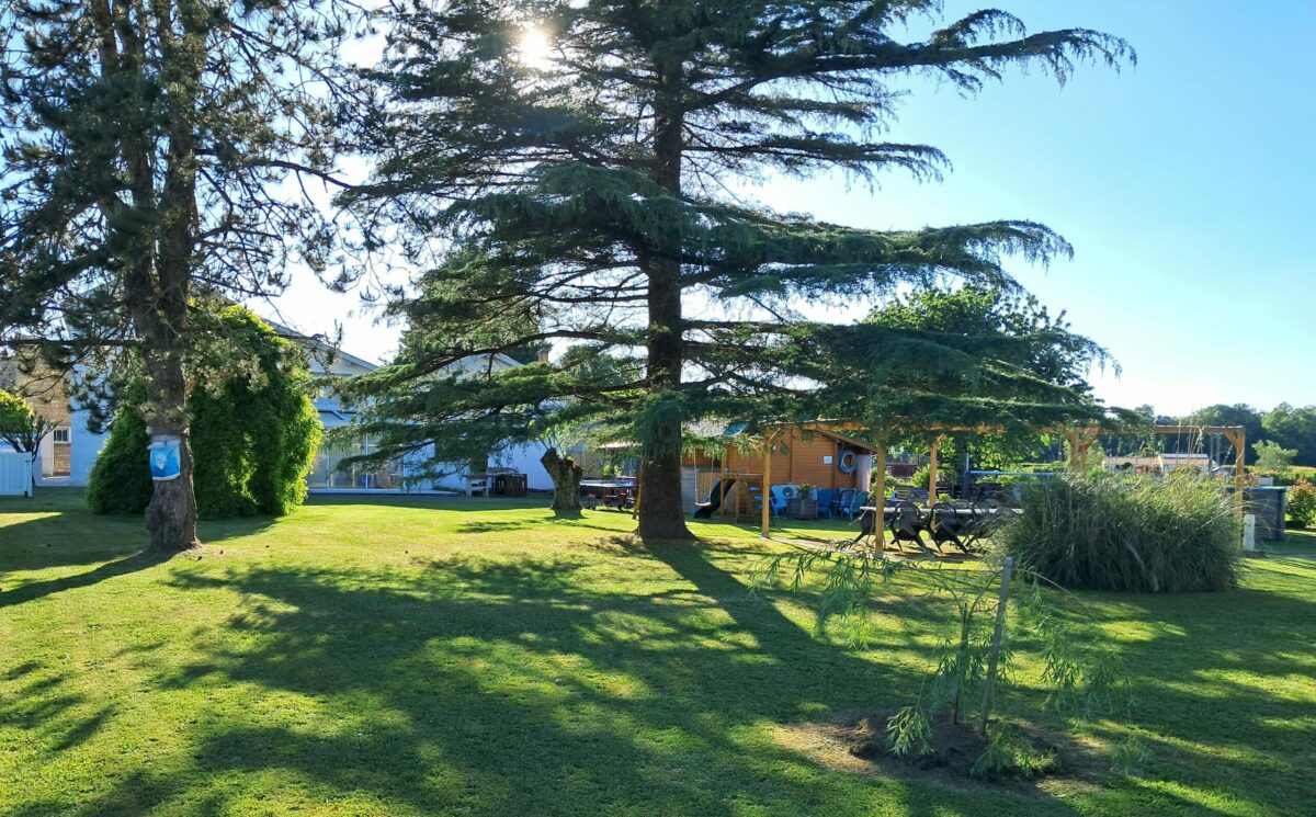 Cour de camping avec grands arbres, pelouse ensoleillée, mobilier de jardin et bâtiments en arrière-plan