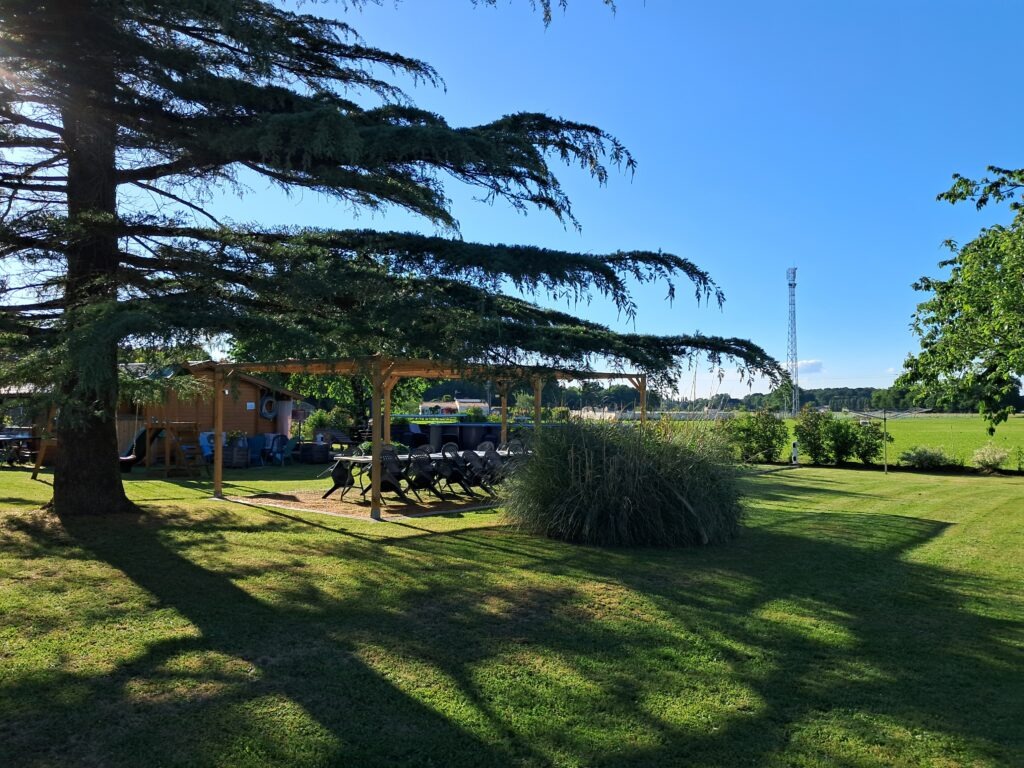 Grand jardin arboré Pergola ombragée par un grand arbre dans un jardin avec tables et chaises pour repas en plein air