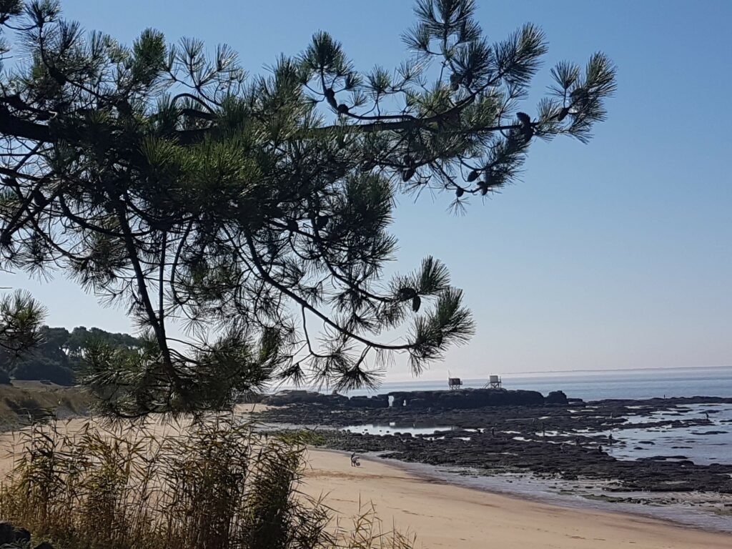 PLAGE - BALADE ST PALAIS SUR MER PLAGE ST PALAIS SUR MER